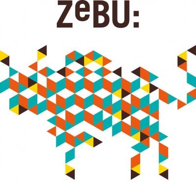 ZeBu