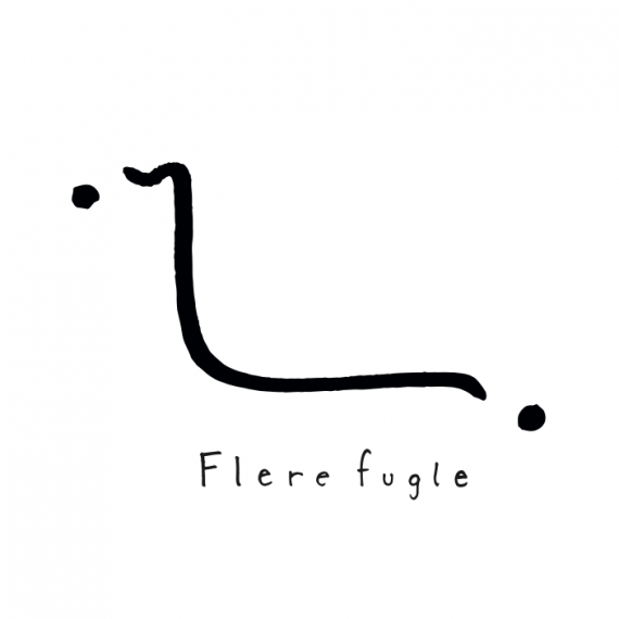 FLERE FUGLE